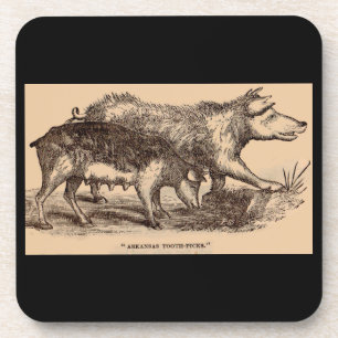 Dessous-de-verre Porcs posters de animaux de ferme du 19e siècle