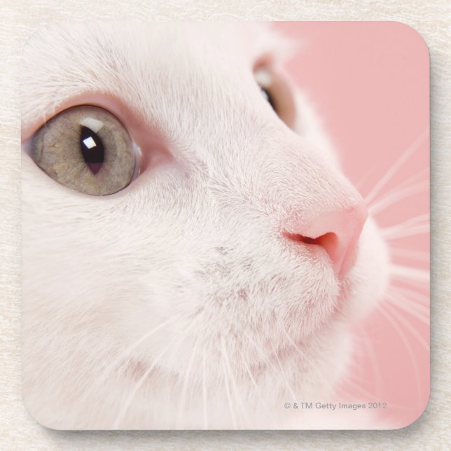 Dessous-de-verre Portrait de chat (Devant)