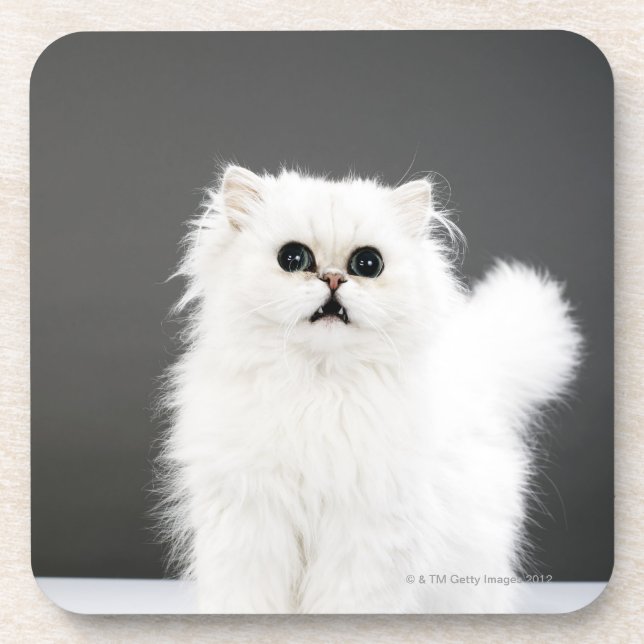 Dessous-de-verre Portrait de chaton (Devant)