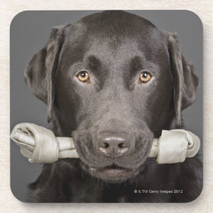 Dessous-de-verre Portrait de chocolat Labrador