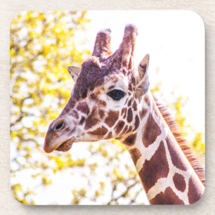 Dessous-de-verre Portrait de Giraffe