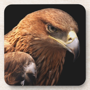 Dessous-de-verre Portrait d'Eagle d'isolement sur le noir