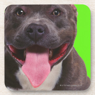 Dessous-de-verre portrait d'un bouledogue