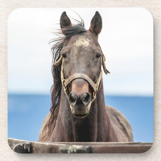 Dessous-de-verre Portrait d'un cheval (Devant)