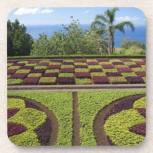 Dessous-de-verre Portugal, île de Madère, Funchal. Botanique