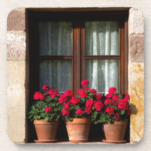 Dessous-de-verre Pots de fleurs de fenêtre dans le village
