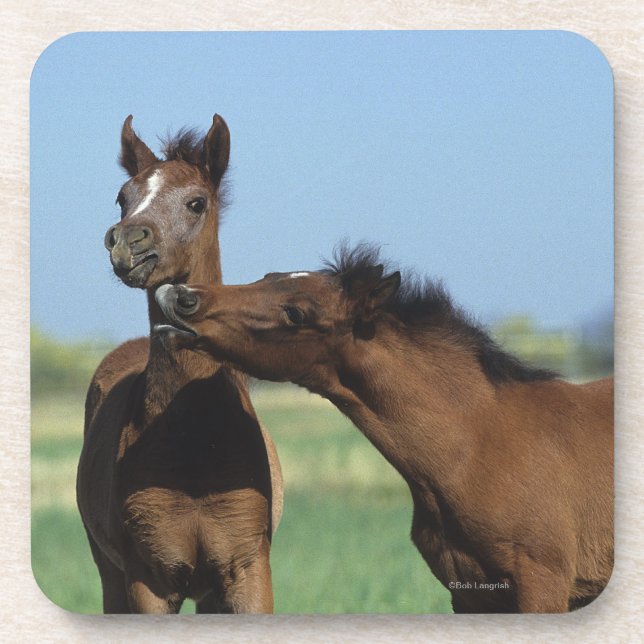Dessous-de-verre Poulains jouant 2 (Devant)