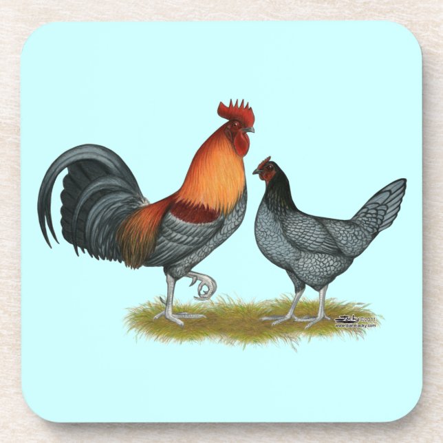 Dessous-de-verre Poule bleue du Delaware (Devant)