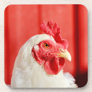 Dessous-de-verre Poulet de ferme