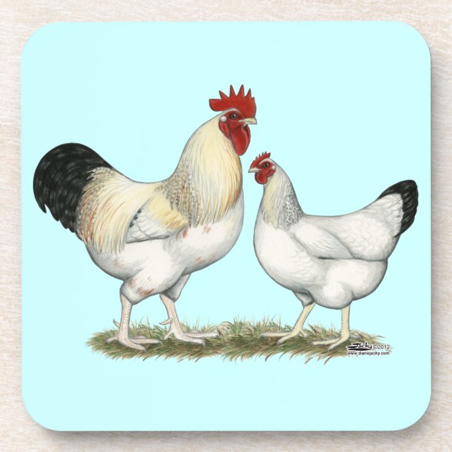 Dessous-de-verre Poulets de la rivière Indian (Devant)