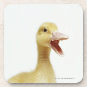 Dessous-de-verre Poussin de canard de Pekin, tête-tir