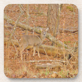 Dessous-de-verre Premier hiver du Cerf de Bébé