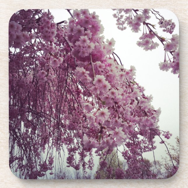 Dessous-de-verre Printemps (Devant)