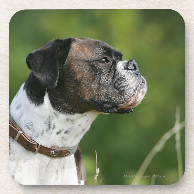 Dessous-de-verre Profil de chien de boxeur (Devant)
