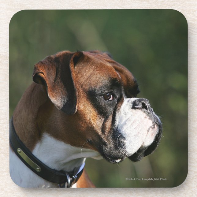 Dessous-de-verre Profil de côté de chien de boxeur (Devant)