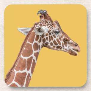Dessous-de-verre Profil de girafe