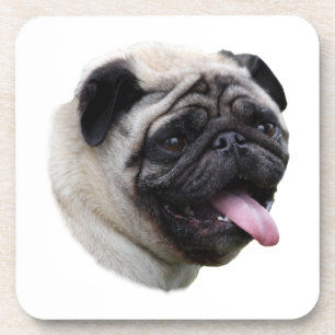 Dessous-de-verre Pug dog pet photo