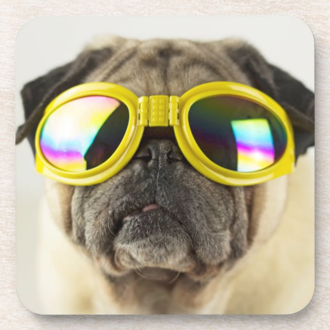 Dessous-de-verre Pug with Goggles (Devant)