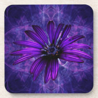 Purple Daisy Passion