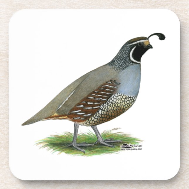 Dessous-de-verre Quail de la Californie (Devant)