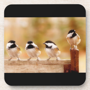 Dessous-de-verre Quatre Chickadees mignons