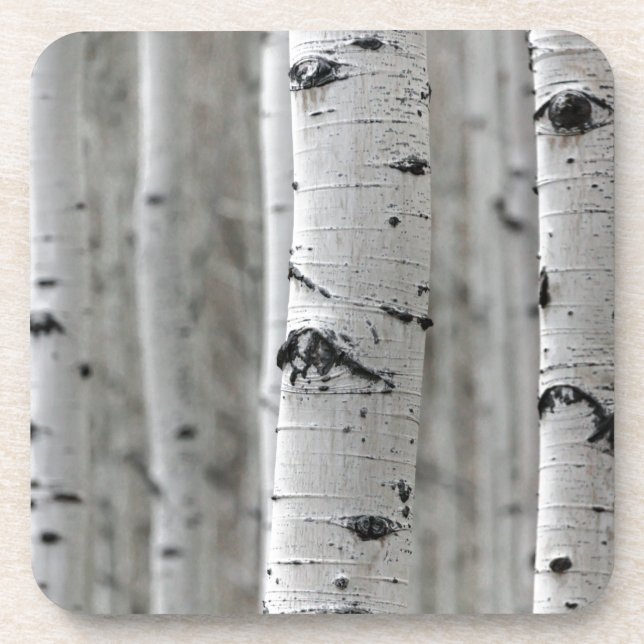 Dessous-de-verre quelle birch (Devant)