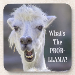 Dessous-de-verre Qu'est-ce que le Prob-Llama ? Jote Drôle LLAMA