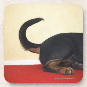 Dessous-de-verre Queue de remuement de rottweiler, section de