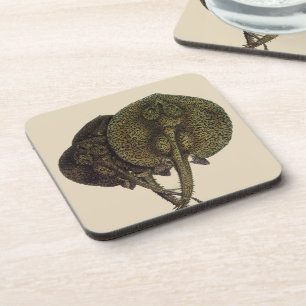 Dessous-de-verre Raies pastenagues, Animaux de la vie marine vintag