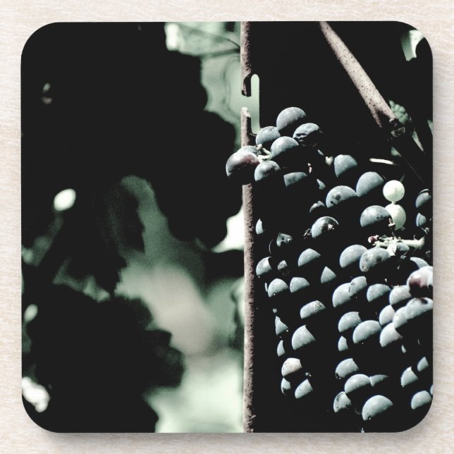 Dessous-de-verre Raisins de cuve (Devant)
