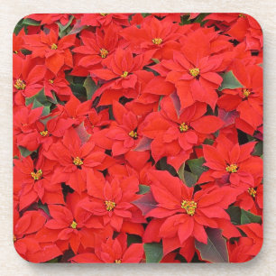 Dessous-de-verre Red Poinsettias I Christmas Holiday Floral Photo
