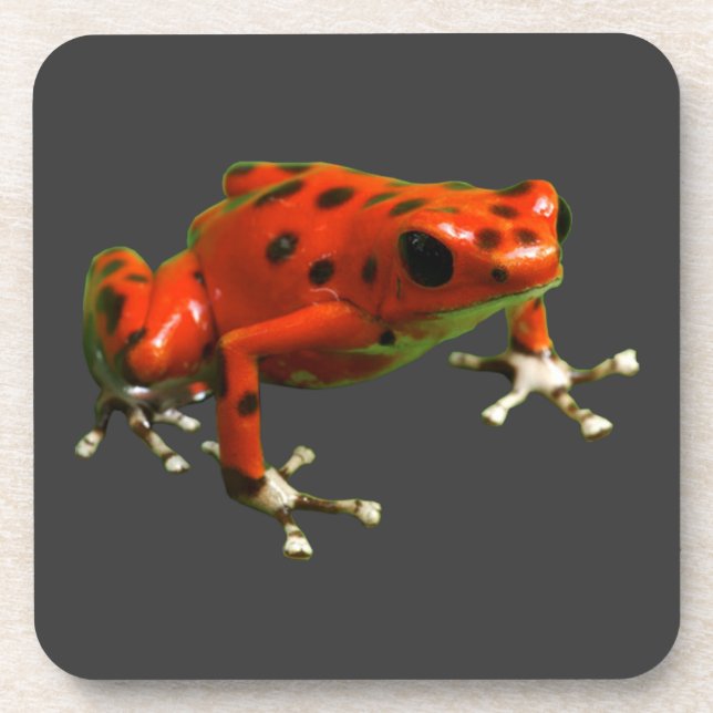 Dessous-de-verre Red Poison Dart Frog (Devant)