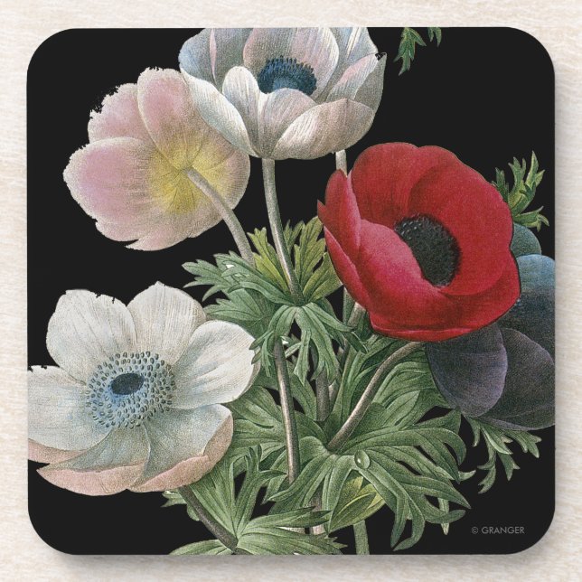 Dessous-de-verre Redoute : Anémone, 1833 (Devant)