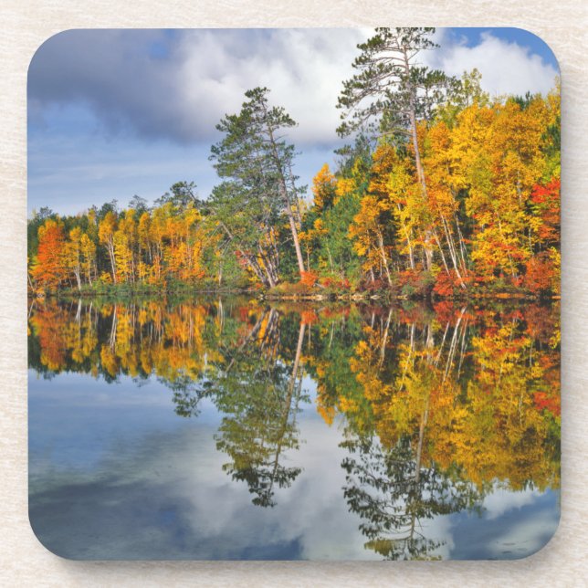 Dessous-de-verre Reflets d'étang en automne, Maine (Devant)