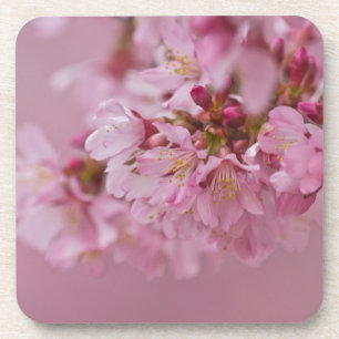 Dessous-de-verre Reflets Rose Pâle des Fleurs de Cerisier Sakura