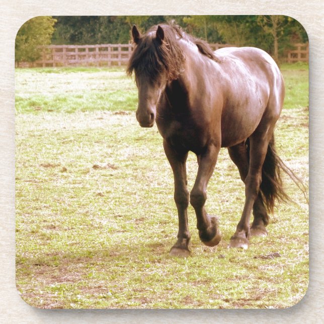 Dessous-de-verre Relaxed Brown Horse Walking (Devant)