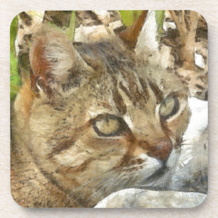 Dessous-de-verre Relaxed Tabby Cat Resting In Garden Pencil