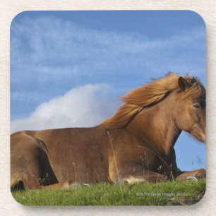 Dessous-de-verre Repos islandais et ciel de cheval