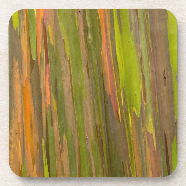 Dessous-de-verre Résumé de l'écorce d'eucalyptus (Devant)