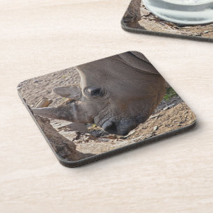 Dessous-de-verre Rhinocéros
