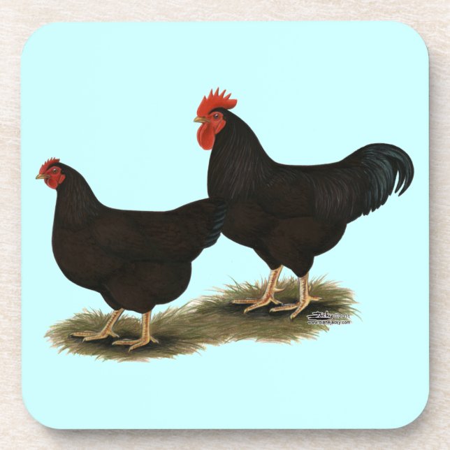 Dessous-de-verre Rhode Island Red Bantams (Devant)