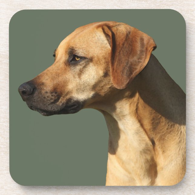 Dessous-de-verre Rhodesian Ridgeback (Devant)