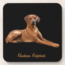Rhodesian Ridgeback (ensemble de 6 pièces)