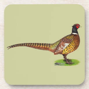 Dessous-de-verre Ringneck Pheasant Rooster