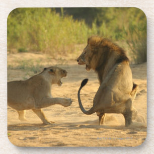Dessous-de-verre Rivière de Timbavati, parc national de Kruger, le