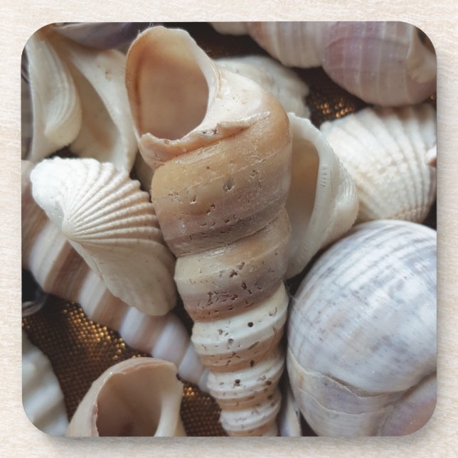 Dessous-de-verre Romantique Tropical Exotic Sea Shells Plage Amour (Devant)
