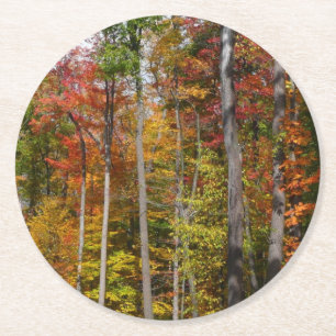 Dessous-de-verre Rond En Papier Automne dans la forêt Colorée Photographie d'autom