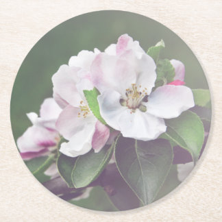 Dessous-de-verre Rond En Papier Beaux Jardins Fleurissent Tasses de Printemps