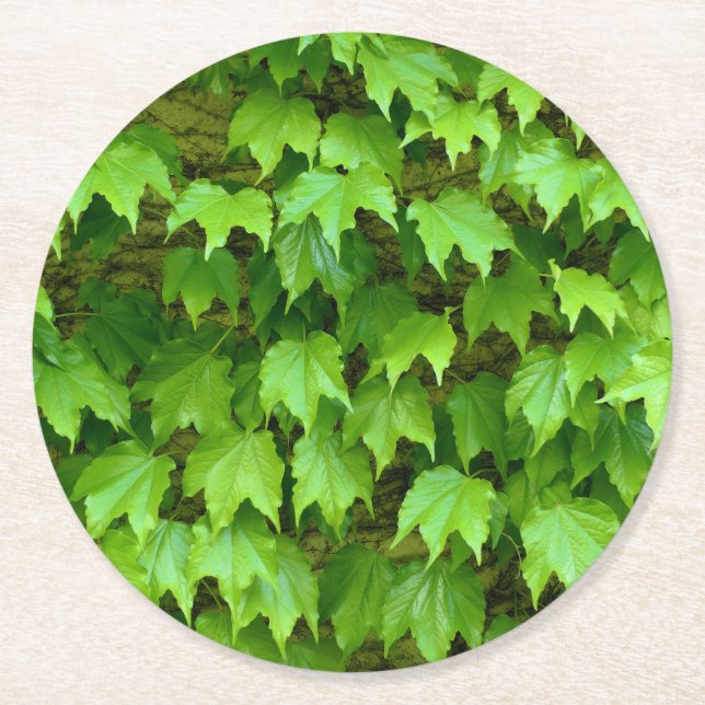 Dessous-de-verre Rond En Papier Boston Ivy (Devant)