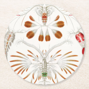 Dessous-de-verre Rond En Papier Crustacés de la vie marine, Copépodes par Ernst Ha